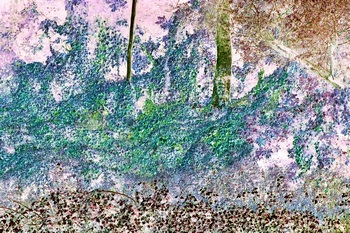 N 066C